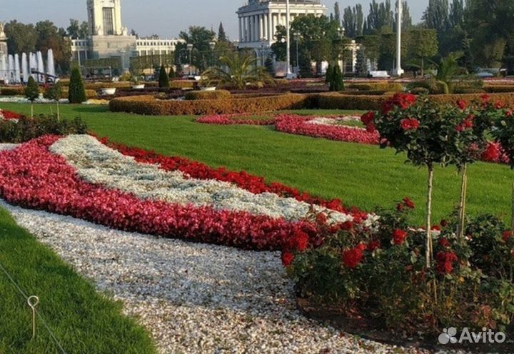 24.авг.23 В гости к Тульскому прянику /цо3059