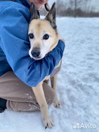 Маленькая Ми