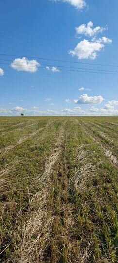 Участок 15 га (ИЖС)