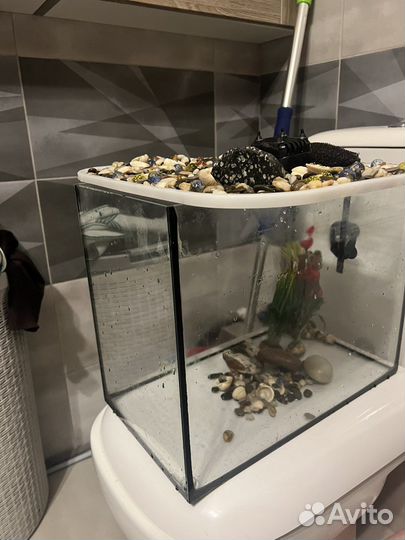 Аквариум