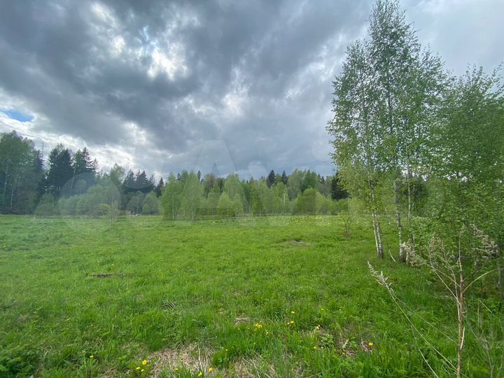 Участок 15,1 сот. (СНТ, ДНП)