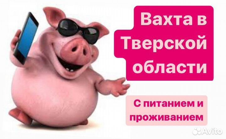 Тверь вахта уход за животными