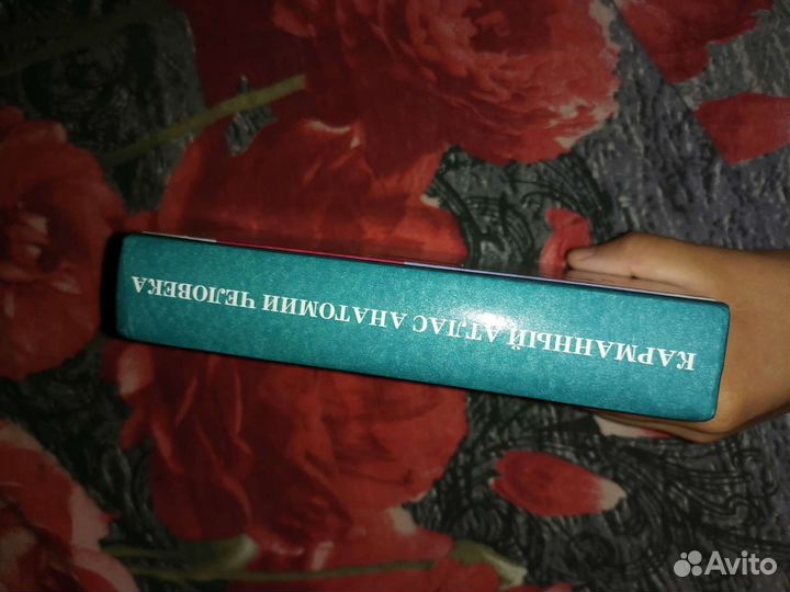 Анатомия человека