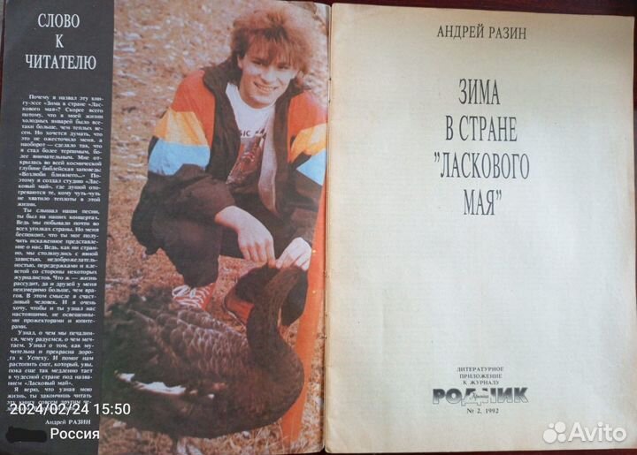 Андрей Разин. Зима в Стране 