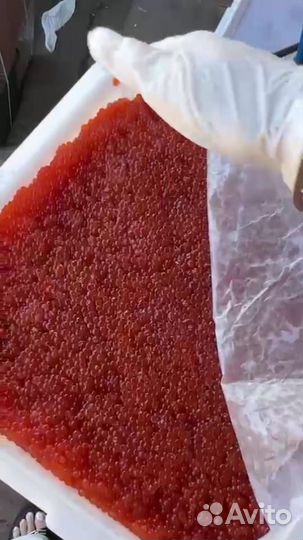 Красная икра горбуши и кеты