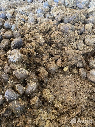 Конский Навоз, перегной