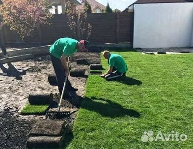 Рулонный газонУкладка Рулонного газонаГазон от про