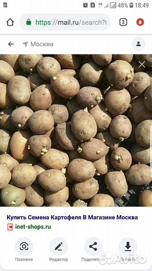Сортовой семянной картофель