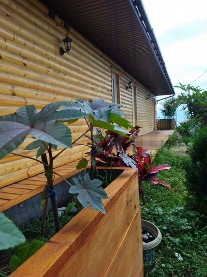 Дом 20 м² на участке 4 сот.