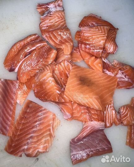 Лосось (Семга)