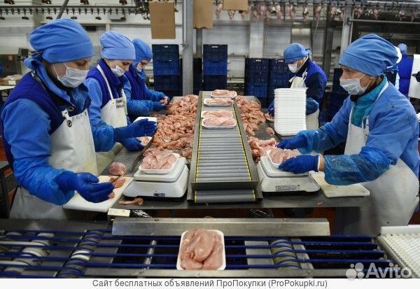 Упаковщики на птицефабрику ежедневная оплата