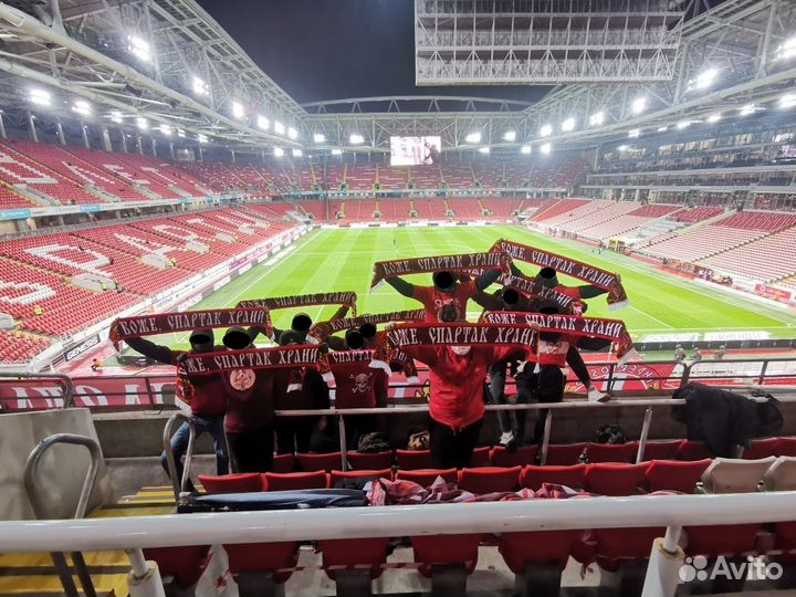 Шарфы коллекционные. Атрибутика на заказ