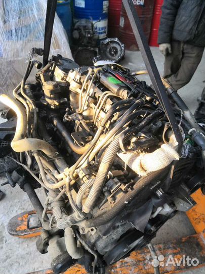Двигатель Citroen Peugeot 1.6 dizel PSA 9H03
