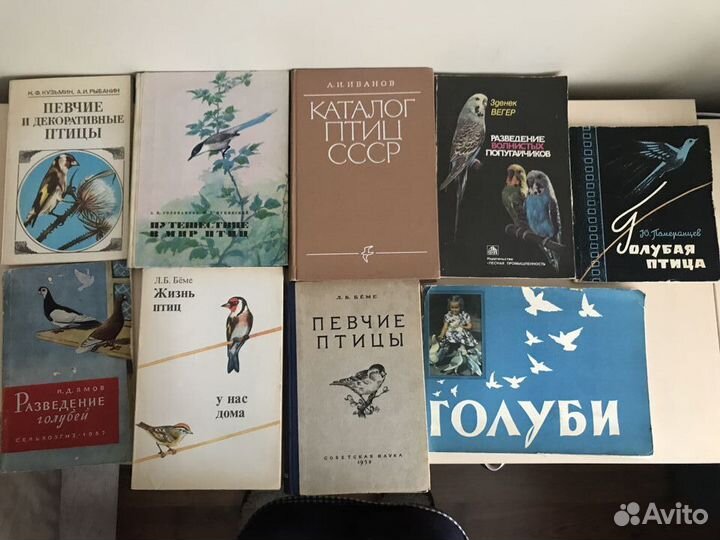 Книги о птицах