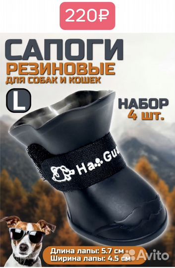 Одежда для котят и собак