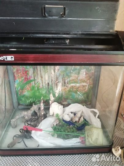 Аквариум