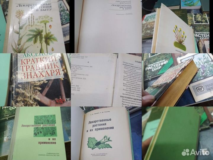 Лекарственные растения СССР и из применение