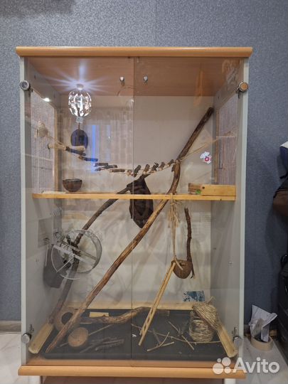 Витрина для грызунов, клетка для грызунов