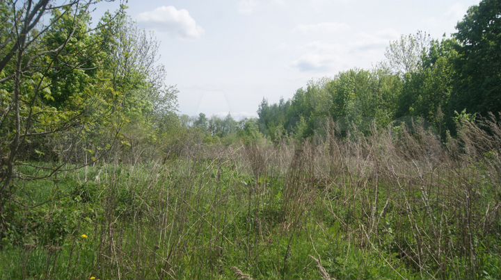 Участок 78 сот. (ИЖС)