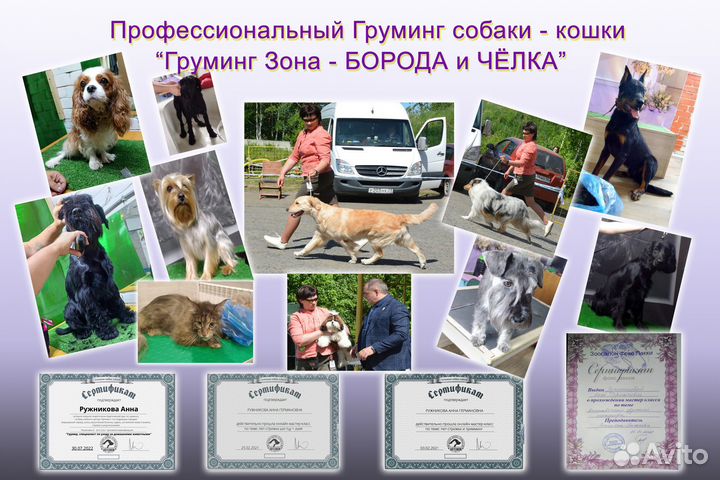 Профессиональный Груминг собак и кошки