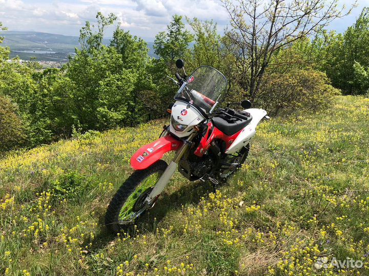 Ekonika sport 004 andes