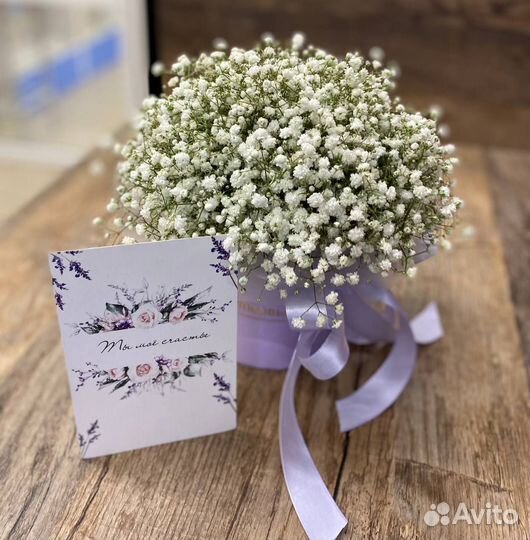 Гипсофила Белая