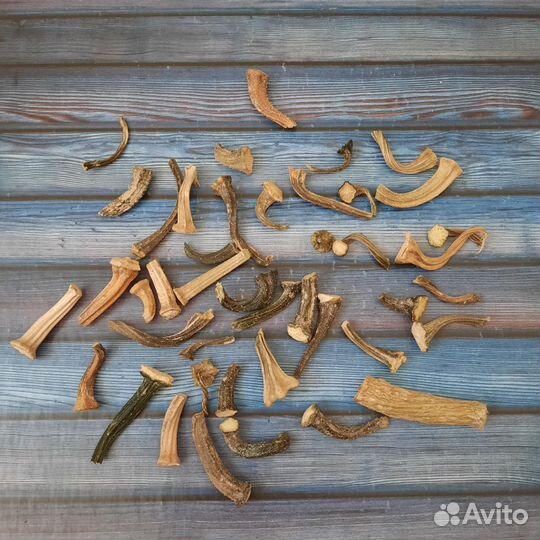 Хвостики тыкв