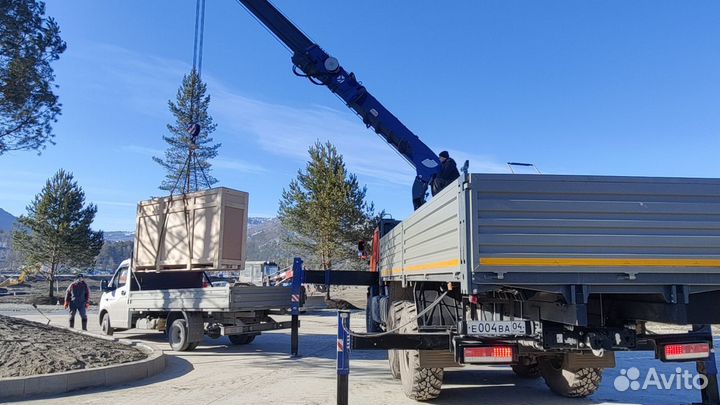 Грузоперевозки, Открытый борт, 1.5,2,3,5,10 тонн