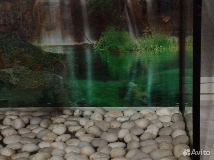 Черепахи+аквариум + обогреватель + остров +фильтр
