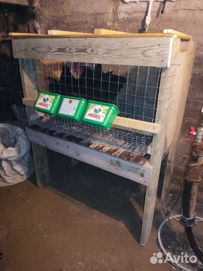 Клетка для куриц