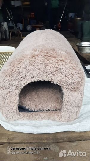 Набор для собачки мелкой породы