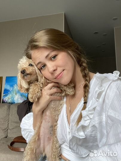 Передержка животных