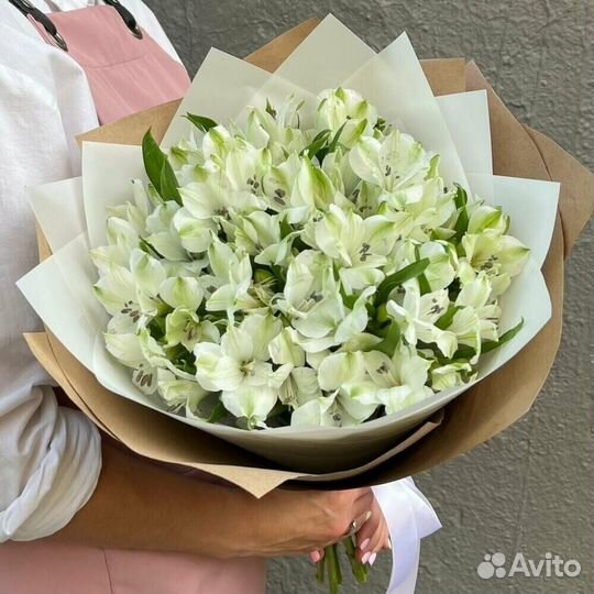 Альстромерия белая 15 шт