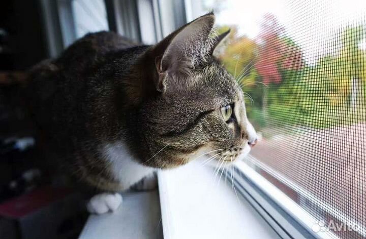 Сетка москитная