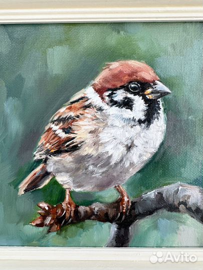 Картина маслом Воробей Картина в рамке