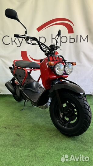 Honda Zoomer (Только с Японии)