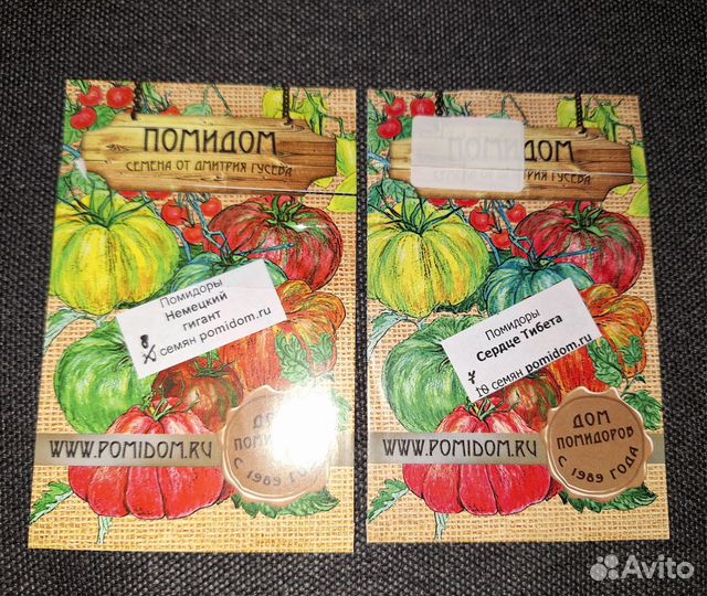 Рассада помидор