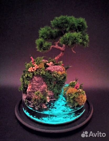 Моссариум, флорариум, подарки