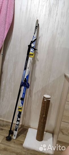 Беговые лыжи