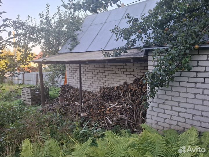 Дрова яблони