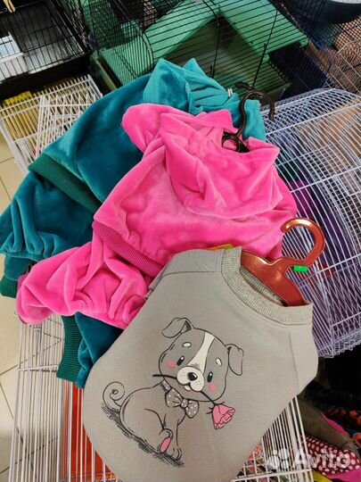 Одежда для собак