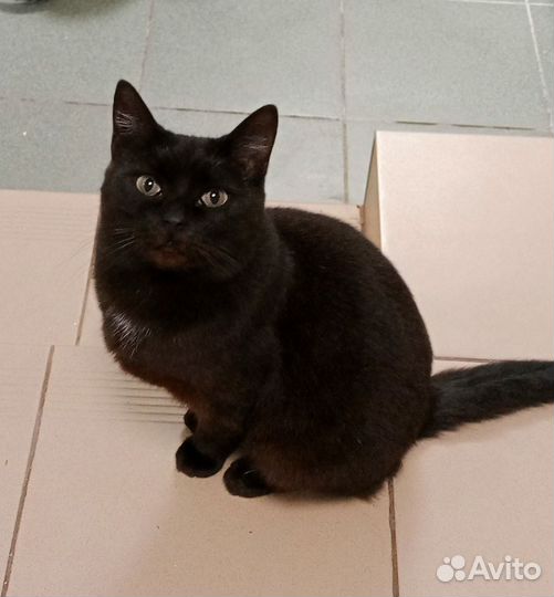 Добрые руки для Габриэль