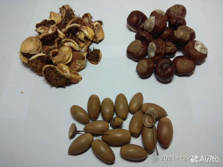 Шишки, каштаны, косточки, семена