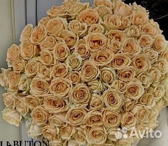 Букет 101 Роза доставка