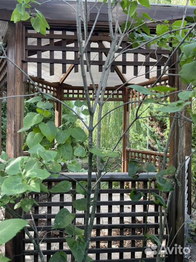 Беседка для дачи