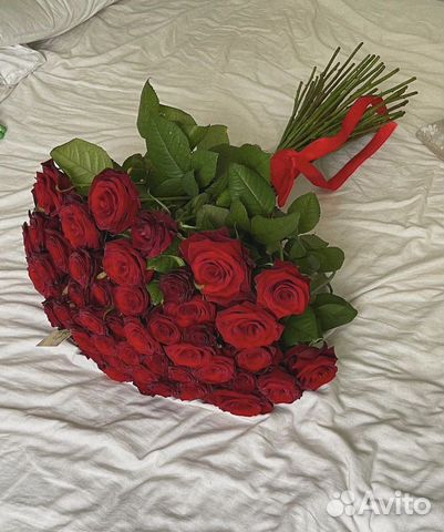 51 красная роза