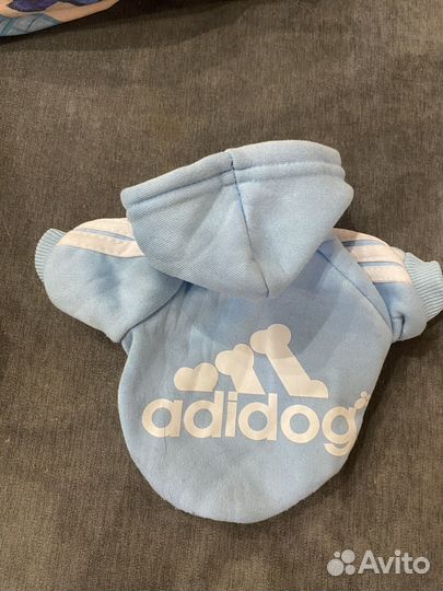 Худи для мелких пород собак