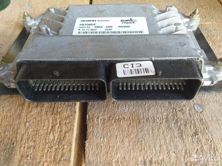 Мозги Саманд