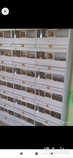 Этажерка под птиц