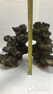 Декорации в аквариум